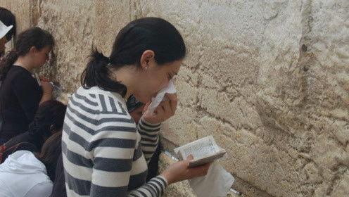 娱乐吃瓜君 网红是谁,网红背后的故事  第2张